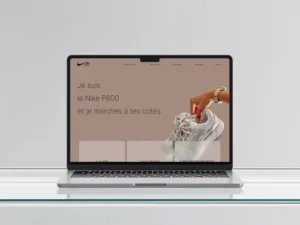 image de mon projet web reproduction